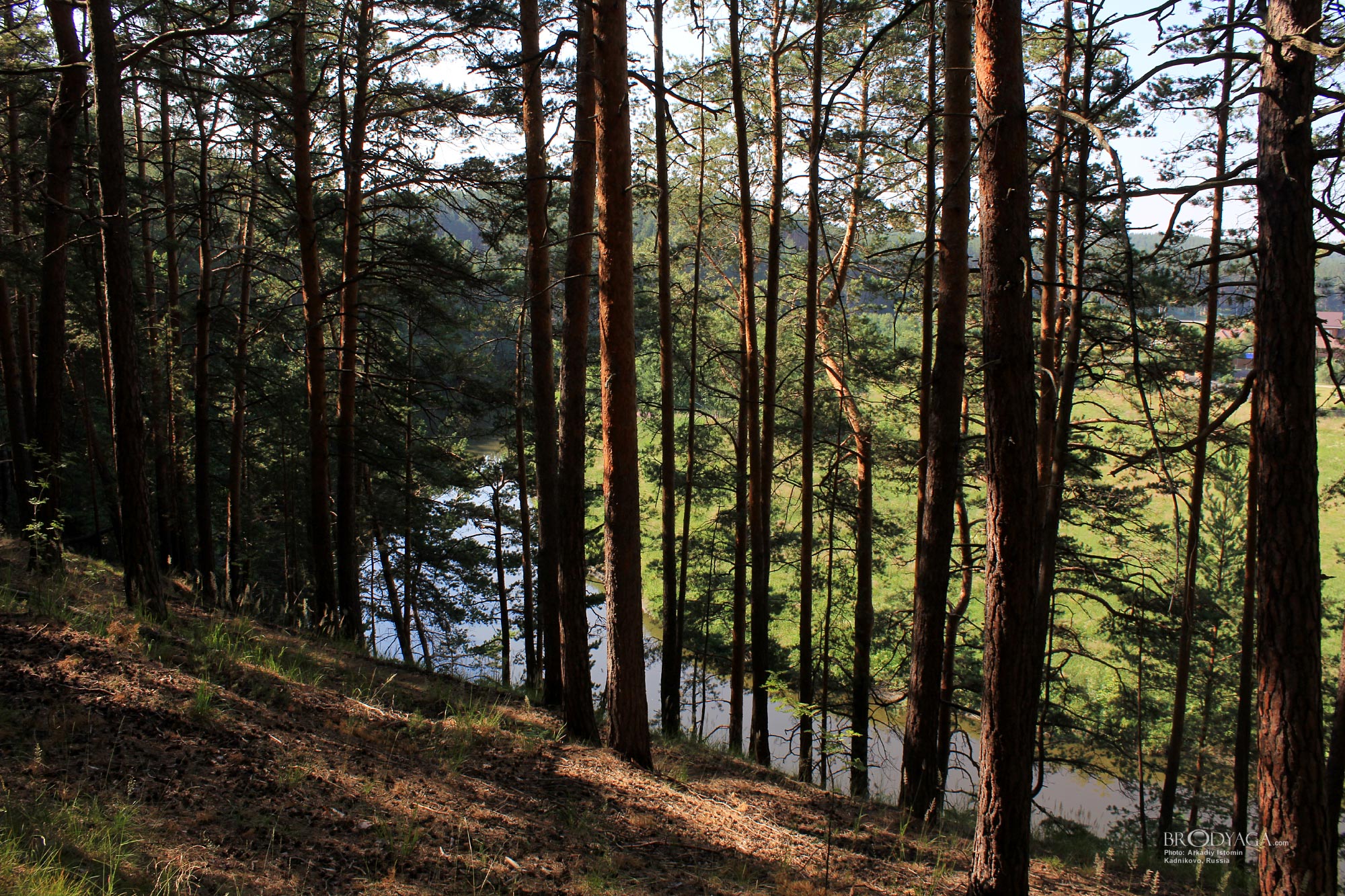 Kadnikovo (Кадниково)